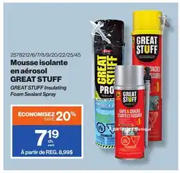 Patrick Morin GREAT STUFF Insulating Foam Sealant Spray offer