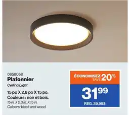 Patrick Morin Ceiling Light offer