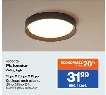 Patrick Morin Ceiling Light offer