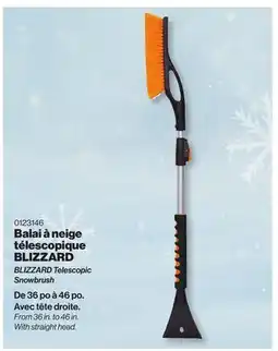 Patrick Morin BLIZZARD Telescopic Snowbrush offer