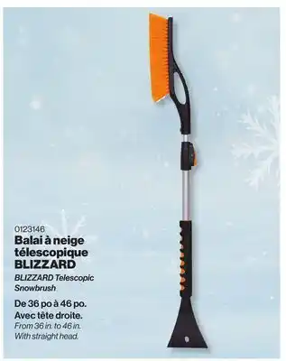 Patrick Morin BLIZZARD Telescopic Snowbrush offer
