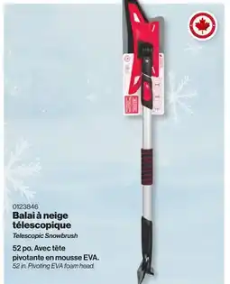 Patrick Morin Telescopic Snowbrush offer