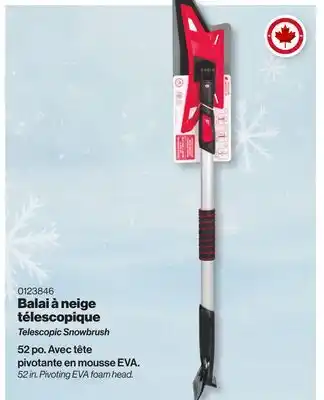 Patrick Morin Telescopic Snowbrush offer