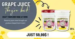 Mayrand Grape Juice for Wine 20 L Vespucci offer