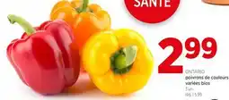 Avril Poivrons de Couleurs Variées Bios offer