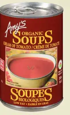 Avril Soupe bio offer