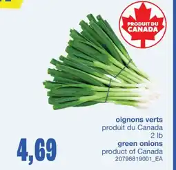 Wholesale Club OIGNONS VERTS, 2 LB offer