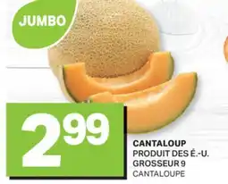 L'Intermarché CANTALOUP | CANTALOUPE offer