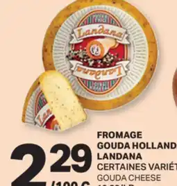 L'Intermarché FROMAGE GOUDA HOLLANDA | GOUDA CHEESE offer