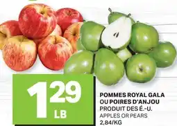 L'Intermarché POMMES ROYAL GALA OU POIRES D'ANJOU | APPLES OR PEARS offer