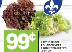 L'Intermarché LAITUE FRISÉE ROUGE OU VERT | LETTUCE offer