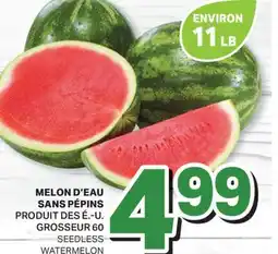 L'Intermarché MELON D'EAU SANS PÉPINS | SEEDLESS WATERMELON, GROSSEUR 60 offer