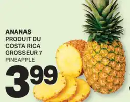 L'Intermarché ANANAS | PINEAPPLE, GROSSEUR 7 offer