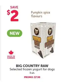 Mondou BIG COUNTRY RAW Selected frozen yogurt for dogs offer