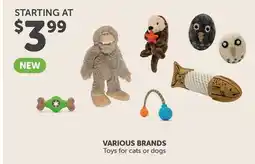 Mondou VARIOUS BRANDS Toys for cats or dogs offer