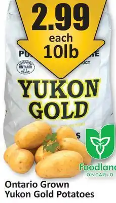 Starsky Yukon Gold Potatoes offer