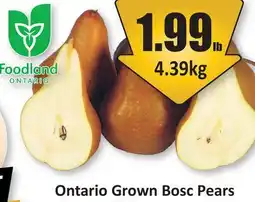 Starsky Ontario Grown Bosc Pears offer