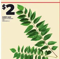 Loblaws CURRY LEAF, 78 G offer