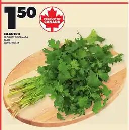 Loblaws CILANTRO offer