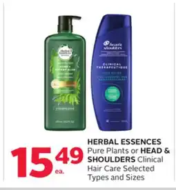 Rexall HERBAL ESSENCES Pure Plants or HEAD & SHOULDERS Clinical Hair Care offer