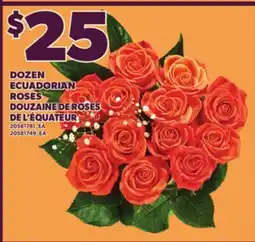 Independent City Market DOZEN ECUADORIAN ROSES offer