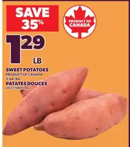 Independent City Market SWEET POTATOES offer