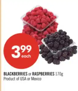 Shoppers Drug Mart BLACKBERRIES or RASPBERRIES 170g offer