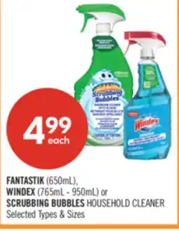 Shoppers Drug Mart FANTASTIK (650mL) WINDEX (765mL - 950mL) or SCRUBBING BUBBLES HOUSEHOLD CLEANER offer