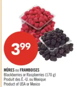 Pharmaprix Blackberries or Raspberries offer