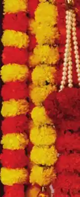 Walmart Guirlande de Diwali offer