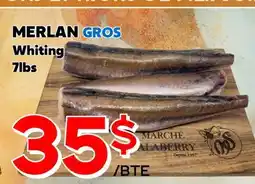 Marche Salaberry MERLAN GROS offer