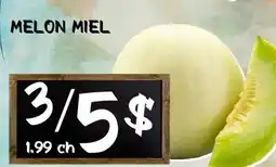 Marche Salaberry MELON MIEL offer