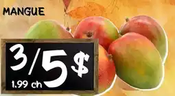 Marche Salaberry MANGUE offer