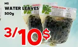 Marche Salaberry MS WATER LEAVES offer
