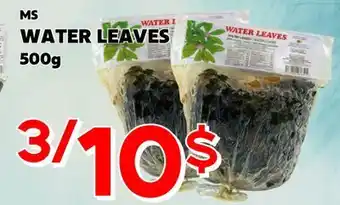 Marche Salaberry MS WATER LEAVES offer