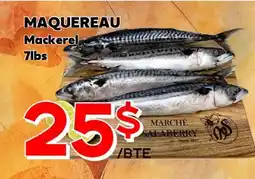 Marche Salaberry MAQUEREAU offer
