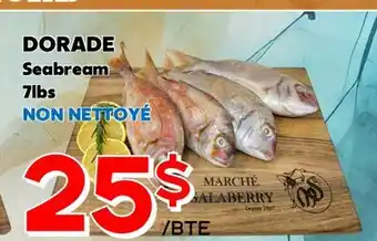 Marche Salaberry DORADE Seabream offer