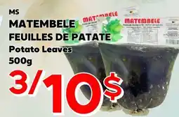 Marche Salaberry MS MATEMBELE FEUILLES DE PATATE offer