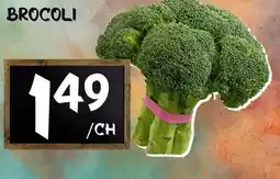 Marche Salaberry BROCOLI offer