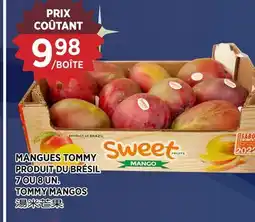 Kim Phat TOMMY MANGOS offer