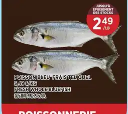 Kim Phat FRESH WHOLE BLUEFISH offer