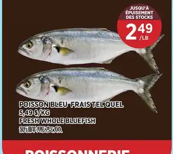 Kim Phat FRESH WHOLE BLUEFISH offer