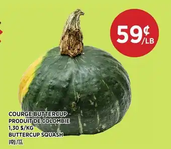 Kim Phat BUTTERCUP SQUASH offer