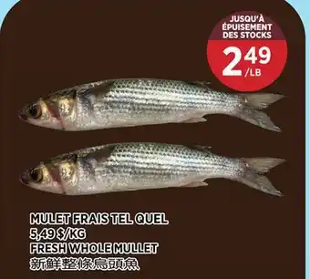 Kim Phat FRESH WHOLE MULLET offer