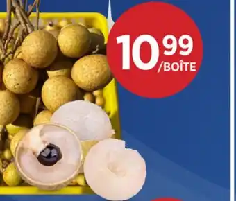 Kim Phat LONGANS offer