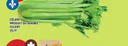 Kim Phat CELERY offer