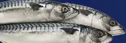 Kim Phat WHOLE FRESH BOSTON MACKEREL offer