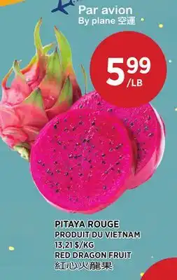 Kim Phat RED DRAGON FRUIT offer