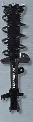 PartSource PRO SERIES OE Strut Assemblies offer