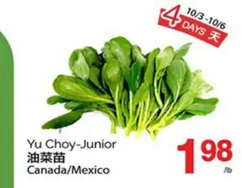 T&T Supermarket YU CHOY-JUNIOR offer
